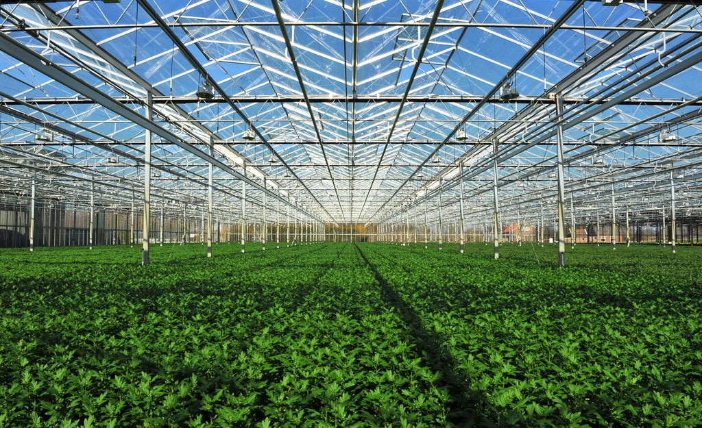 農業大棚 農業大棚