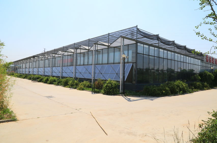 溫室陽光板